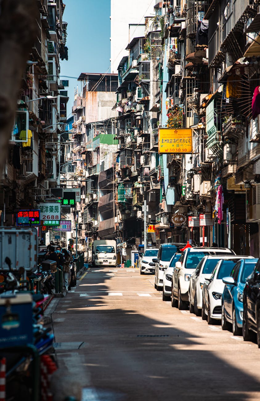 心动Offer005：三本葡语生的澳大逆袭自述